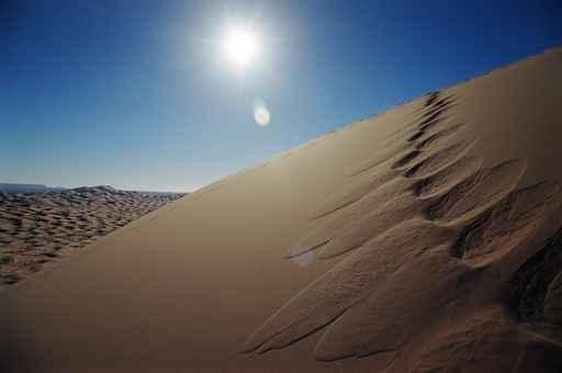 Desert Dunes Wall Decal