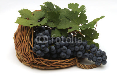Grape Wine Wall Decal