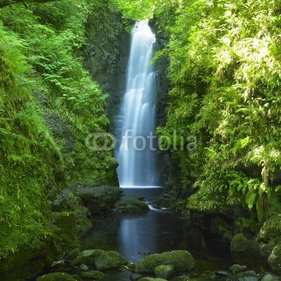 Cranny Falls Ireland Wall Mural