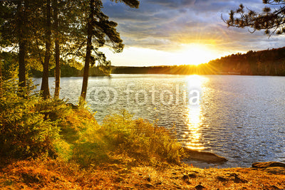 Sunset over Lake Wall Decal