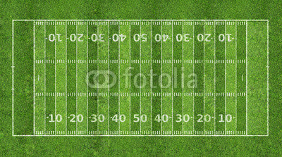 American Football Field Wall Mural