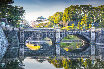 Imperial Palace Japan Wall Mural