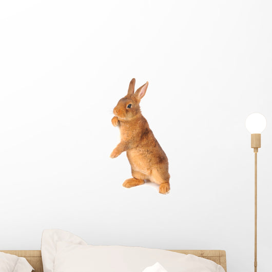 Rabbit Wall Decal