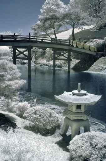 Japanese Garden Infrared Wall Decal