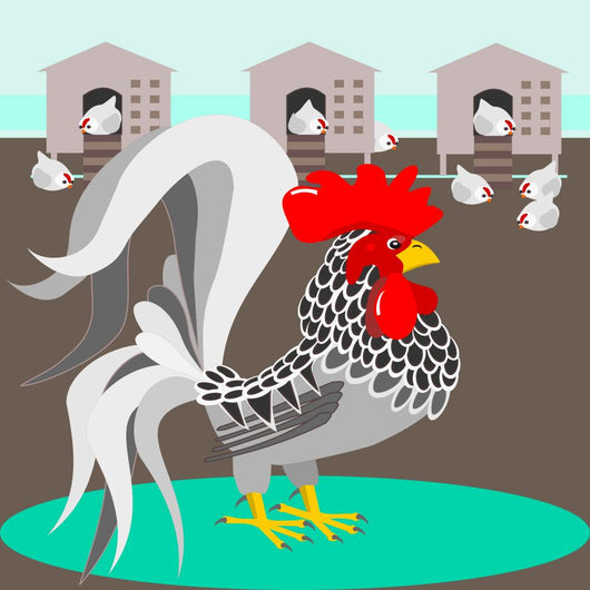 Grey Rooster Pen