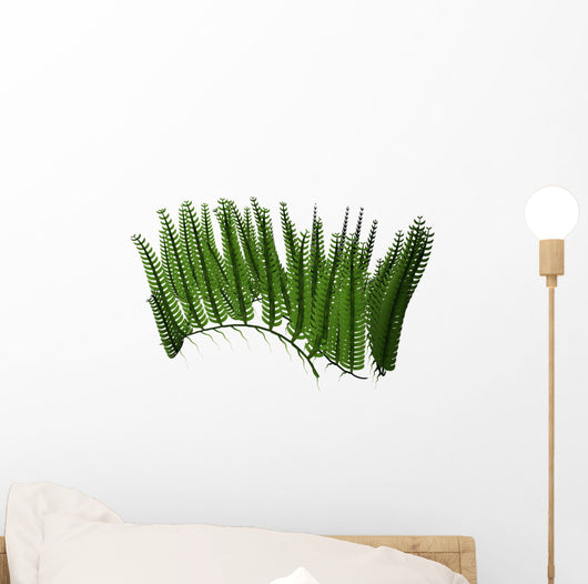 Acetebularia Wall Decal