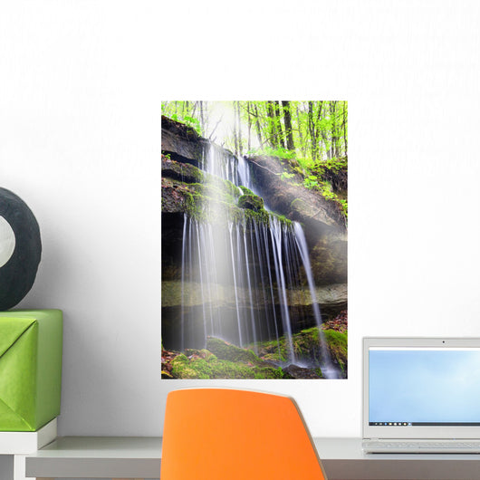 Sunbeam over Waterfall Forest