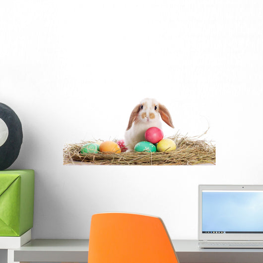 Funny Rabbit and Easter