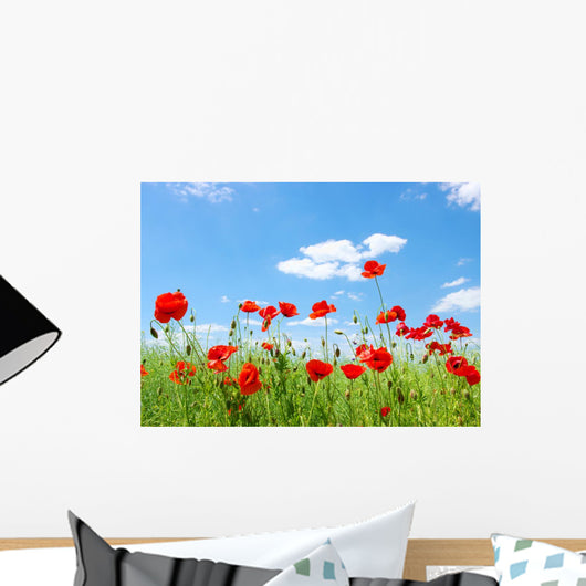 Red Poppies