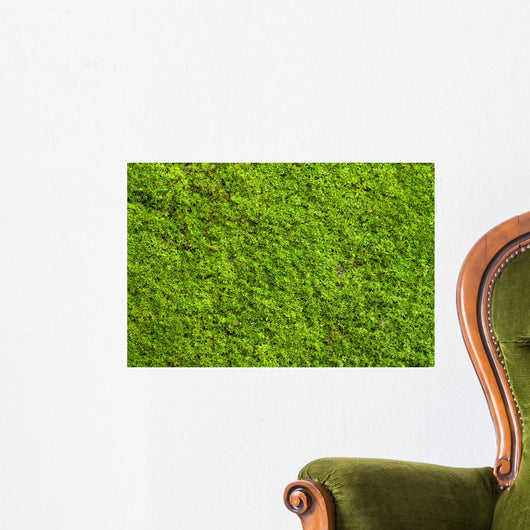 Green Lichen Wall Decal
