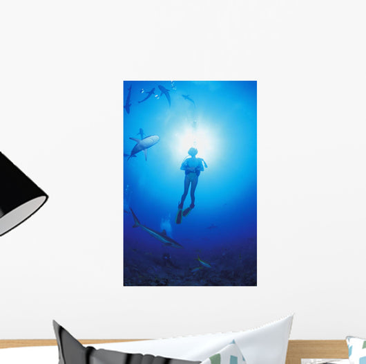 Circling Sharks Wall Mural