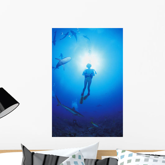 Circling Sharks Wall Mural