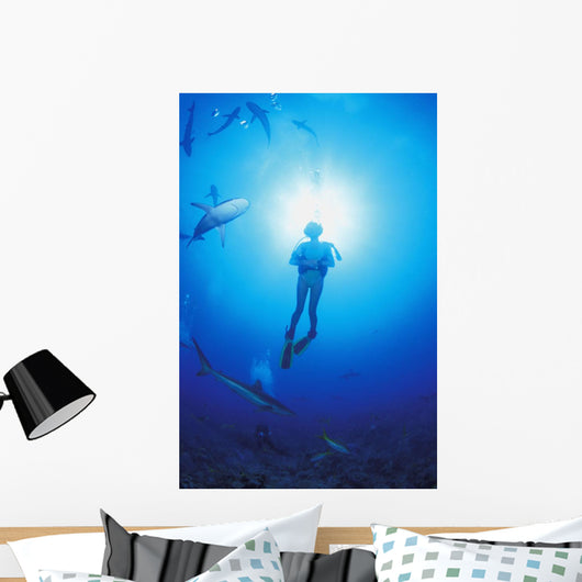 Circling Sharks Wall Mural