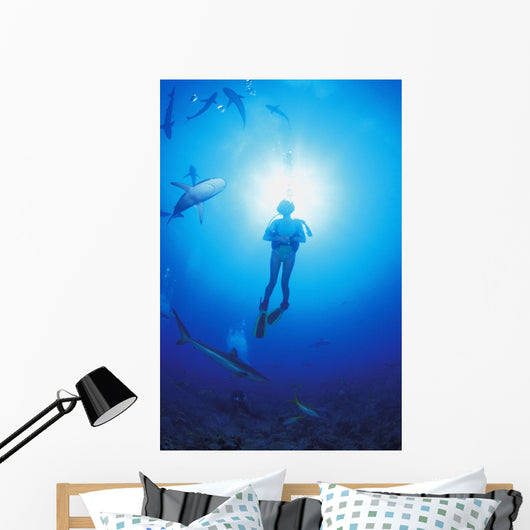 Circling Sharks Wall Mural