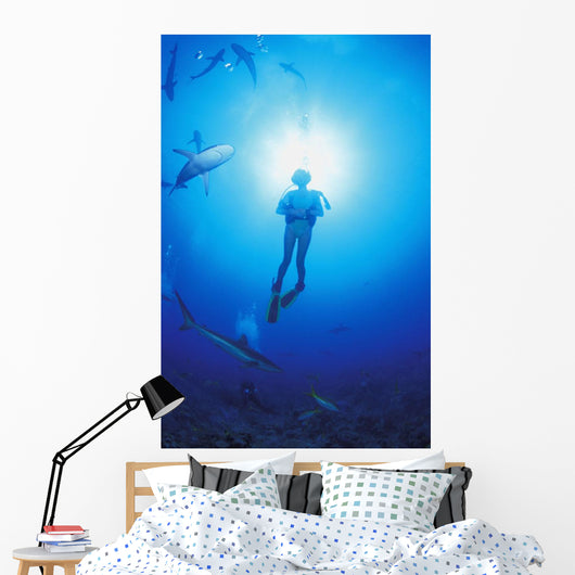 Circling Sharks Wall Mural