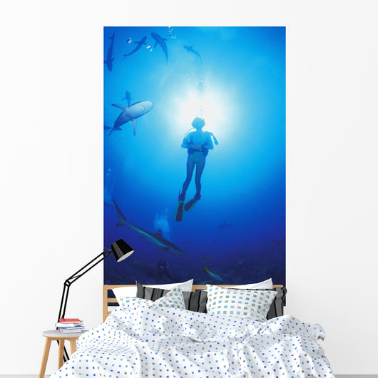 Circling Sharks Wall Mural