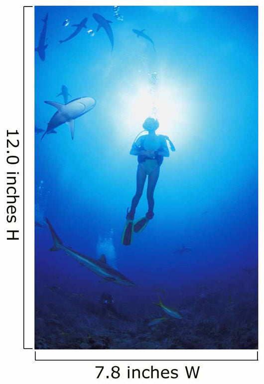 Circling Sharks Wall Mural