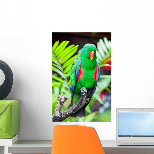 Great-billed Parrot Nature Surrounding