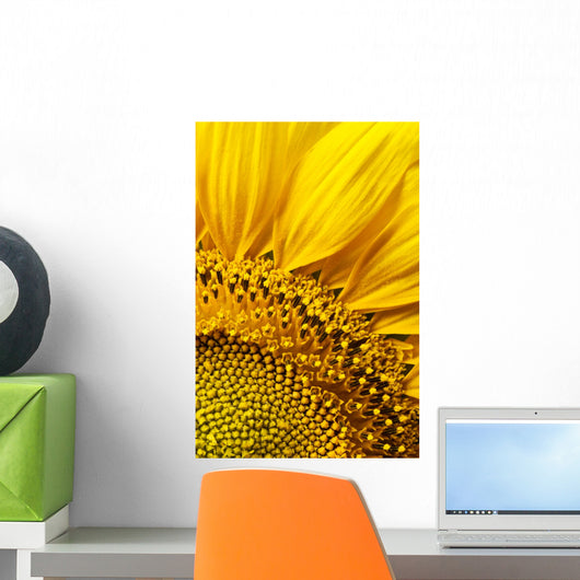 Sunflower Wall Mural