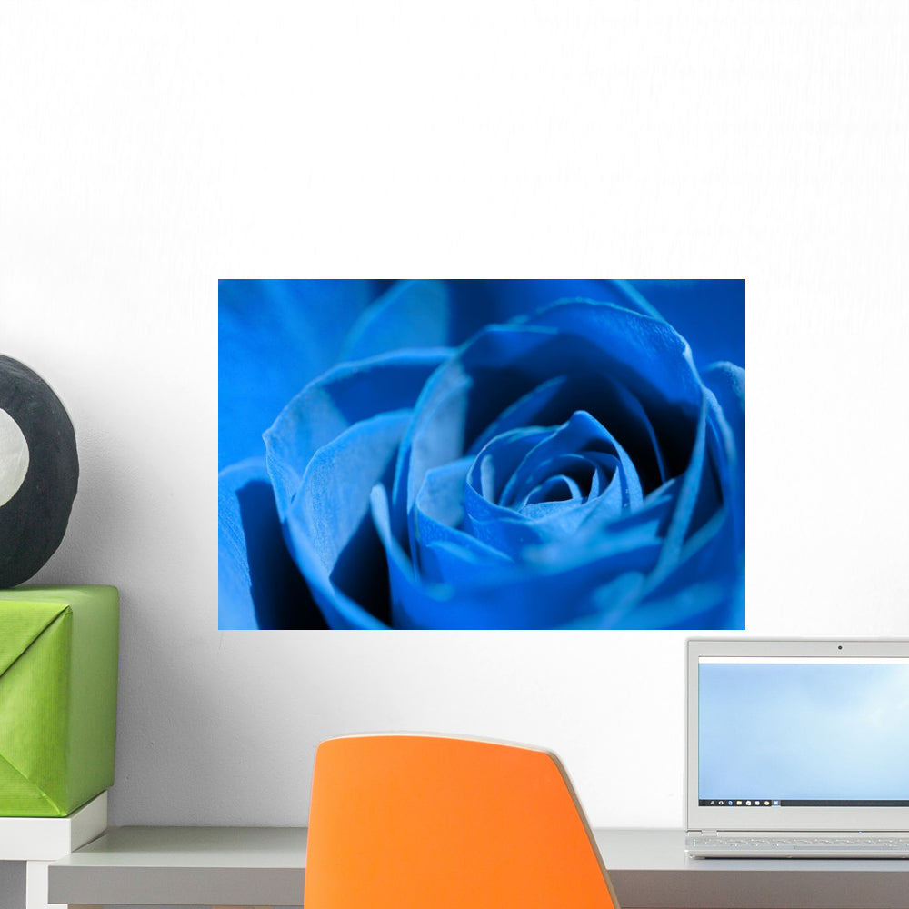 Blue Rose Wall Mural Wallmonkeys