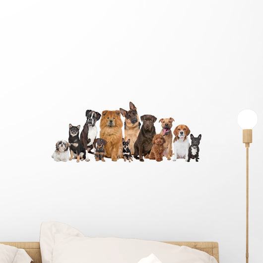 Group Twelve Dogs