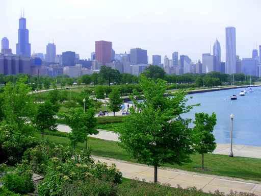 Chicago Beauty Wall Decal