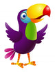 Toucan Bird