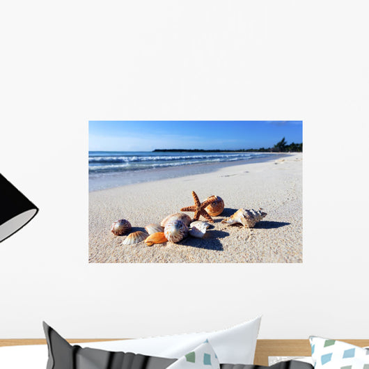 Shellfish Beach