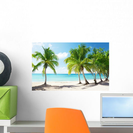 Caribbean Sea and Coconut