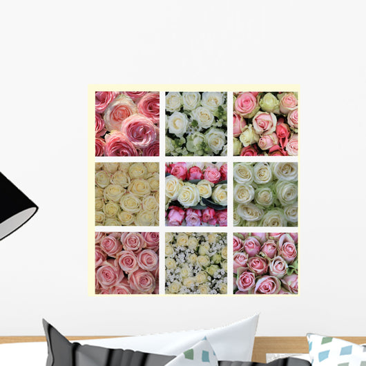 Pink and White Roses