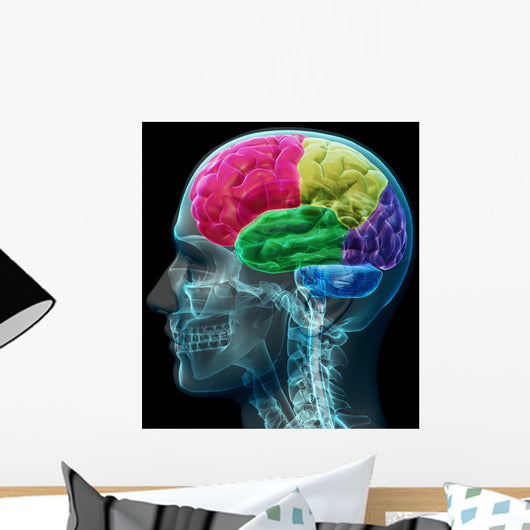 Colored sections of a male human brain ,x ray concept. Wall Mural