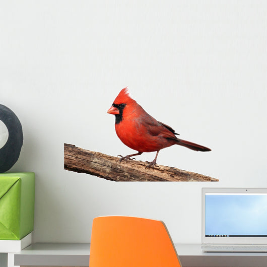 Cardinal Stump Wall Decal