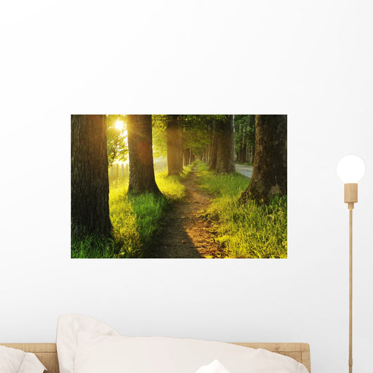 Sunrise Beautiful Alley