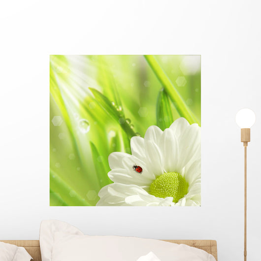 White Flower and Little