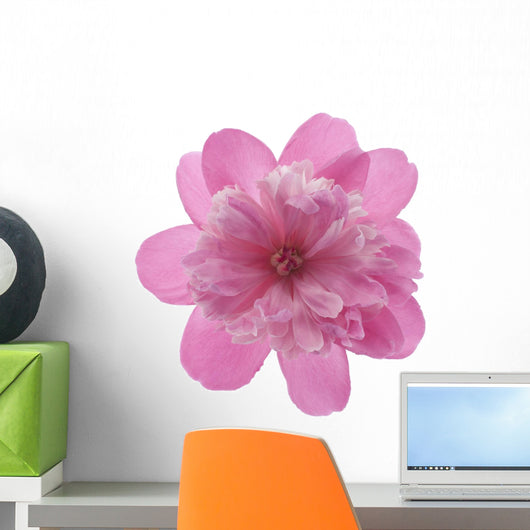 Peony Wall Decal