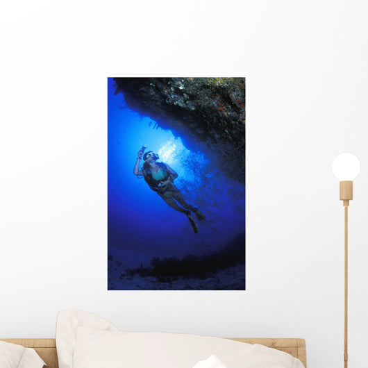 Reef Examination Wall Mural