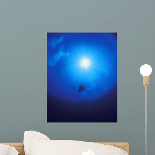 Swimming Sea Turtle Wall Mural
