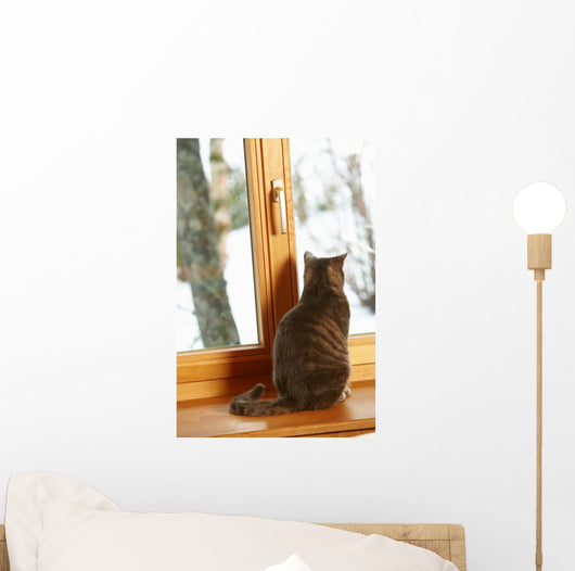 Cat Sitting On Window Ledge Looking At Snowy View Wall Mural