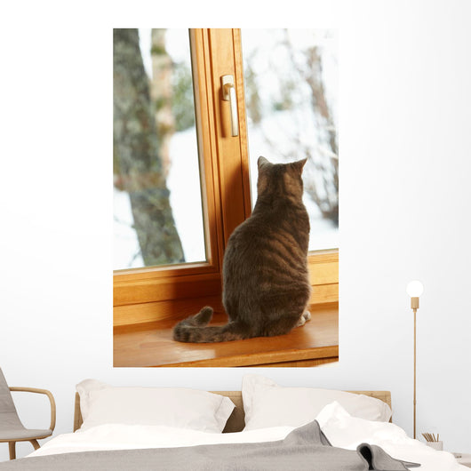 Cat Sitting On Window Ledge Looking At Snowy View Wall Mural
