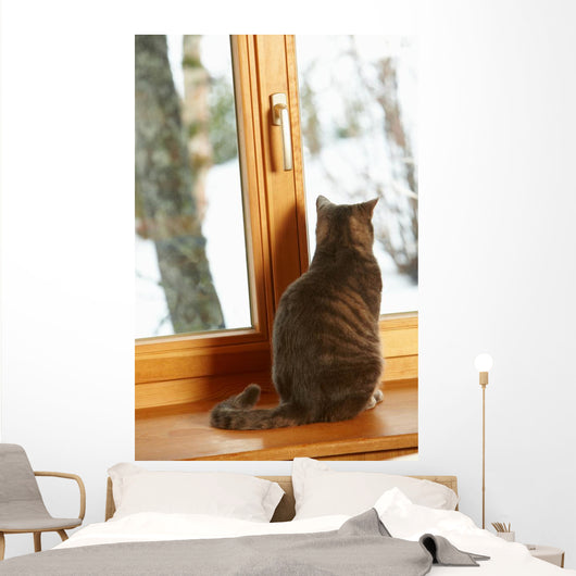 Cat Sitting On Window Ledge Looking At Snowy View Wall Mural