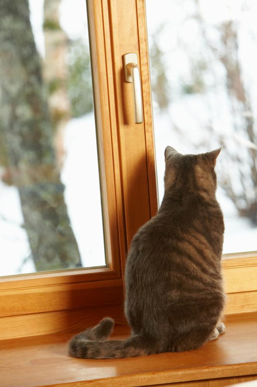 Cat Sitting On Window Ledge Looking At Snowy View Wall Mural