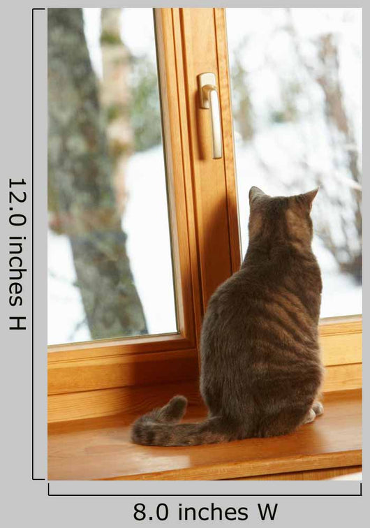 Cat Sitting On Window Ledge Looking At Snowy View Wall Mural