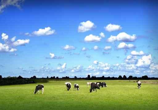 Blauer Himmel Und K Wall Decal