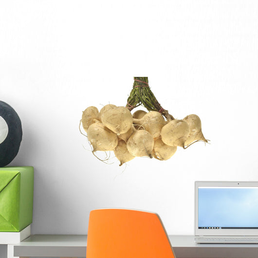Whole Single Jicama White Wall Decal