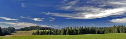 Schwarzwald Wide Horizontal Wall Decal