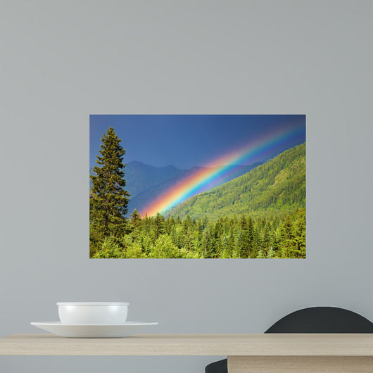 Rainbow over forest Wall Mural