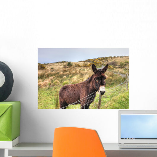 Donkey Meadow Ireland Wall Mural