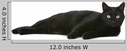 Cat Wall Decal