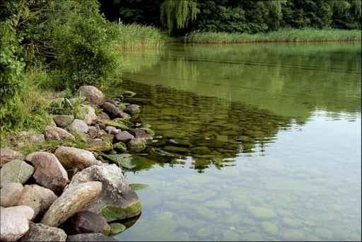 Arendsee Wall Decal