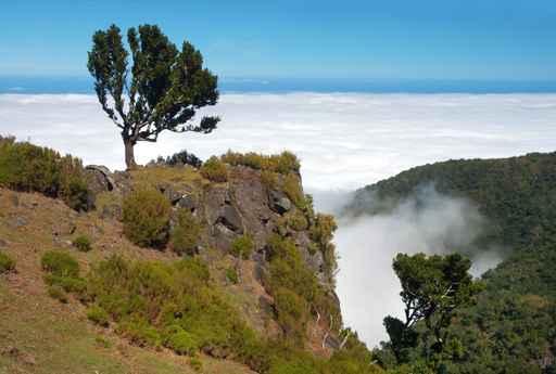 Madeira Island Wall Decal